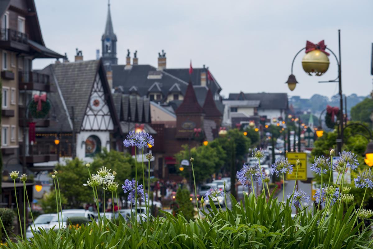 Crianças bilingues brincando e aprendendo em um ambiente natural em Gramado, simbolizando a experiência de criar filhos bilingues na cidade.